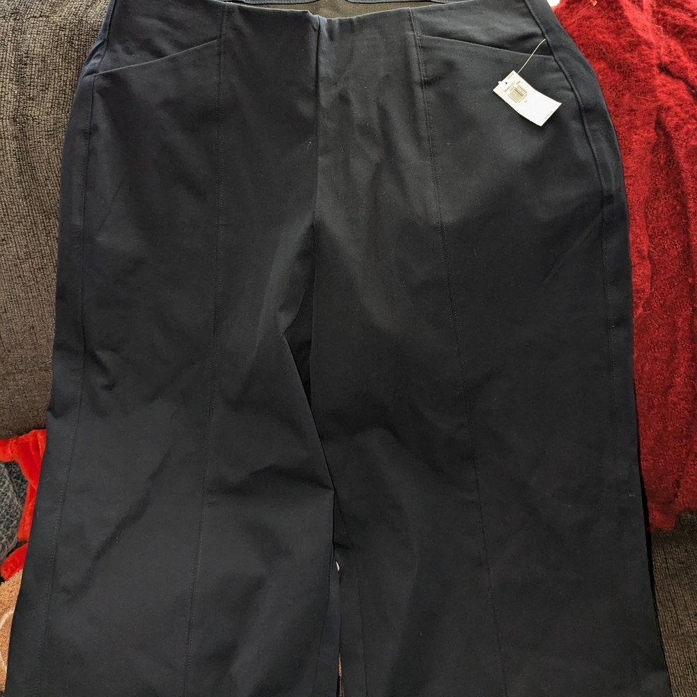 Pull on pixie wide leg pants